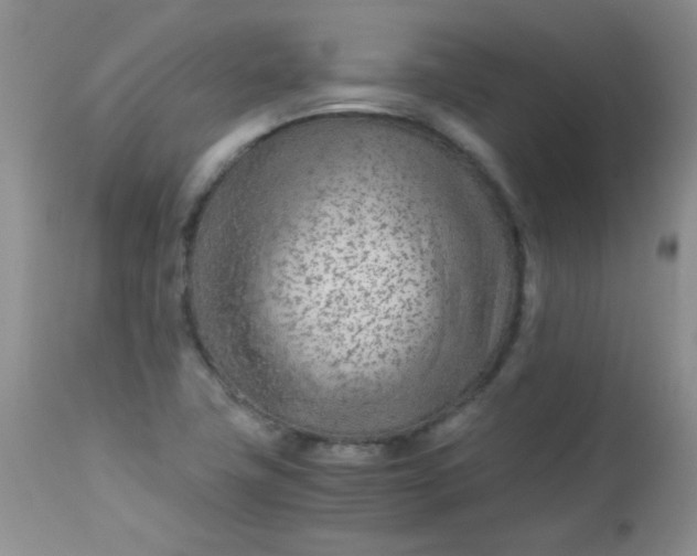 X0000113561411200910091404