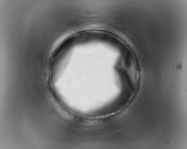 X0000113561413200910091404