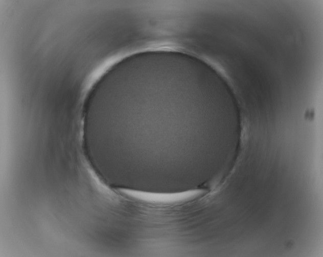 X0000113561414200910091404