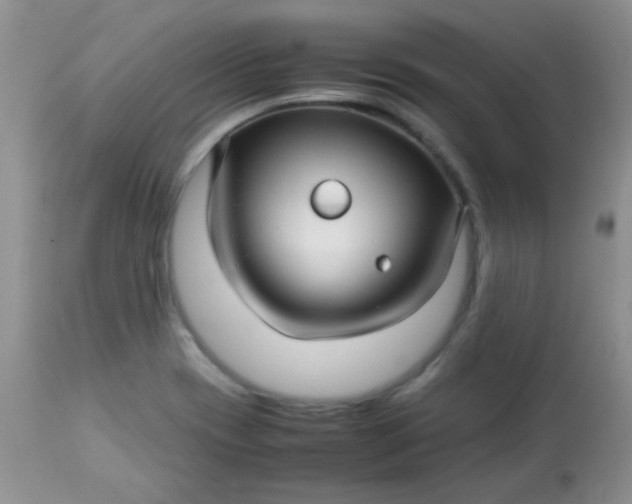 X0000113561417200910091404