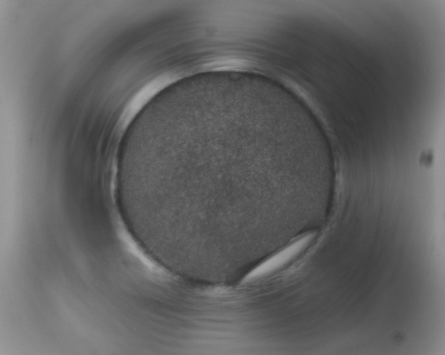 X0000113561418200910091404