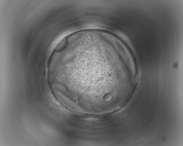X0000113561419200910091404