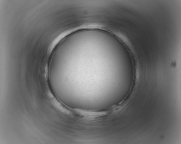 X0000113561420200910091404