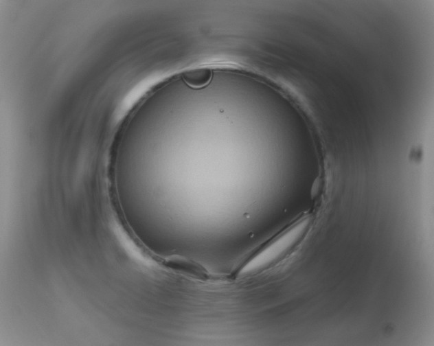 X0000113561422200910091404
