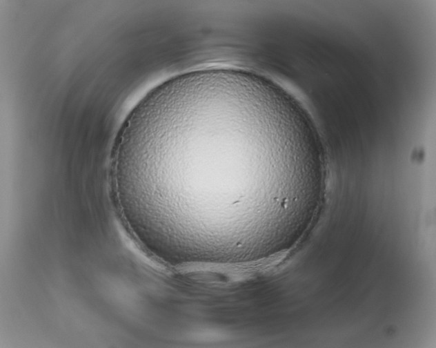 X0000113561423200910091404