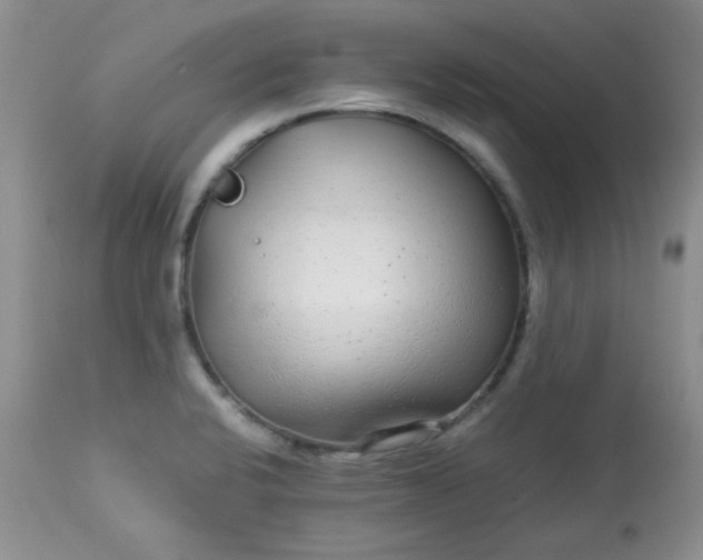X0000113561424200910091404