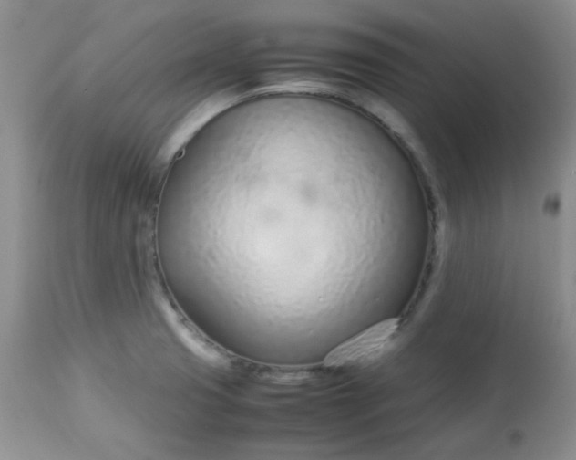 X0000113561425200910091404