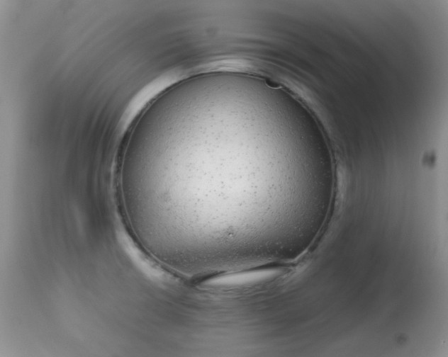 X0000113561426200910091404