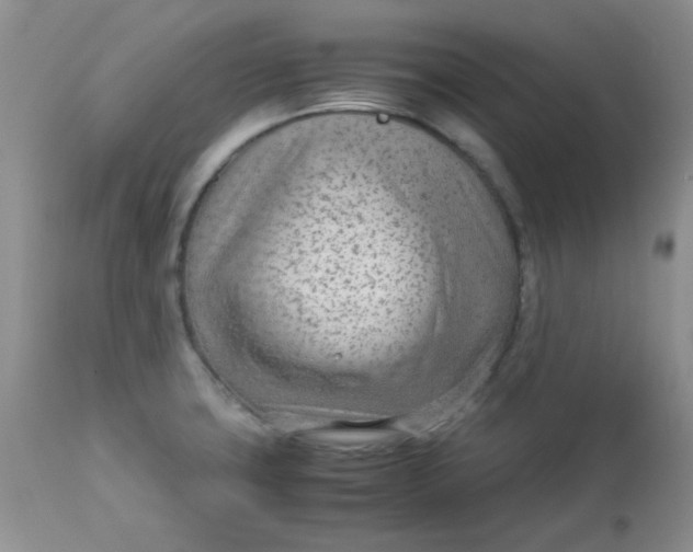 X0000113561427200910091404