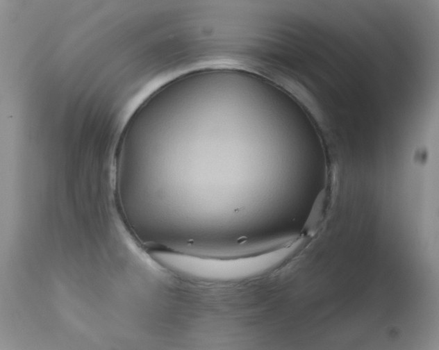 X0000113561428200910091404