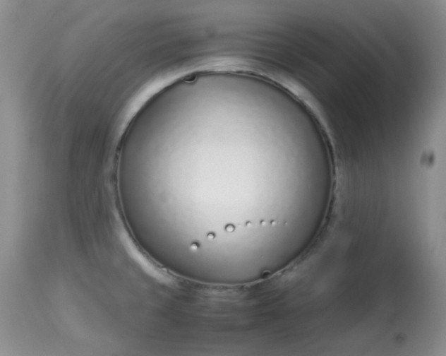 X0000113561429200910091404