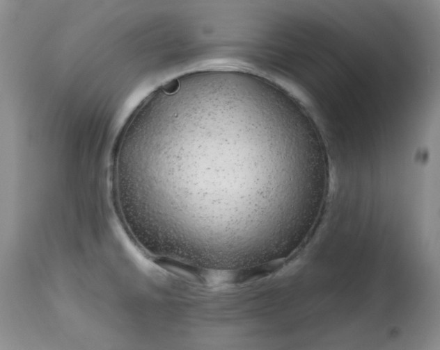 X0000113561430200910091404