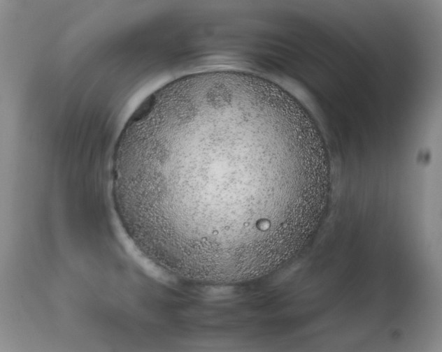 X0000113561431200910091404
