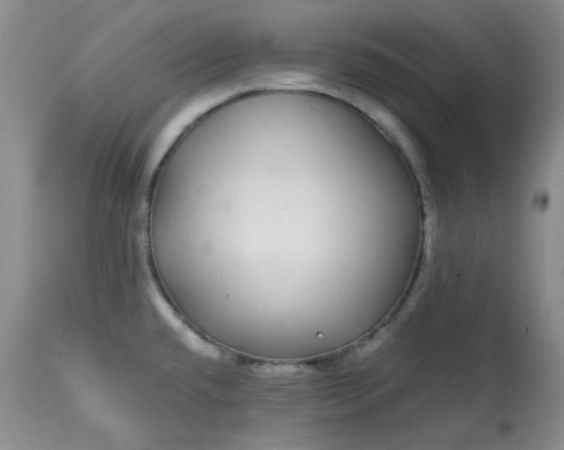 X0000113561432200910091404
