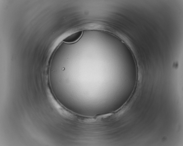 X0000113561434200910091404