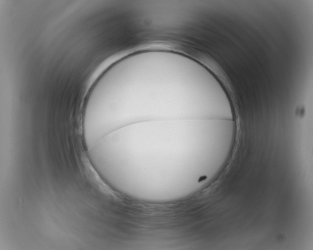 X0000113561436200910091404