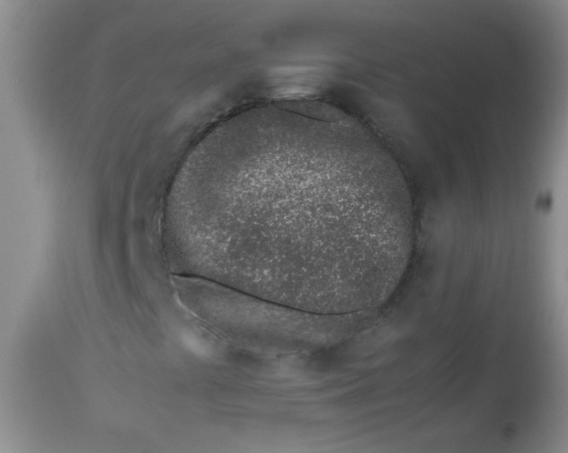 X0000113561441200910091403