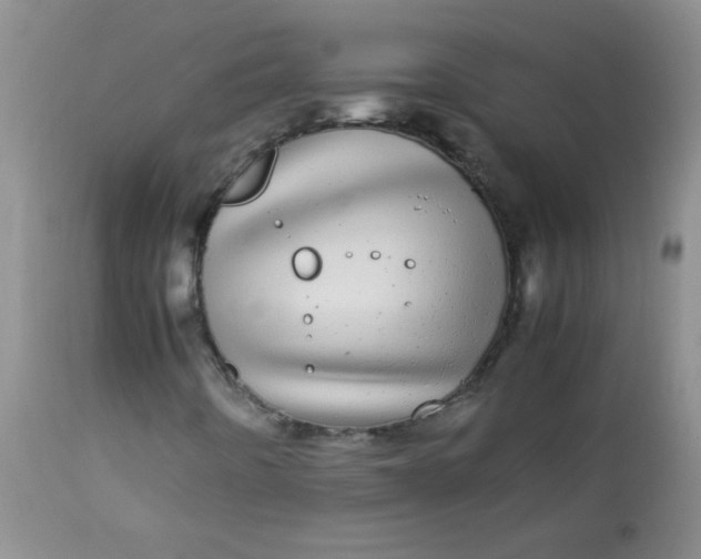 X0000113561442200910091403