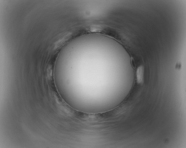 X0000113561443200910091403