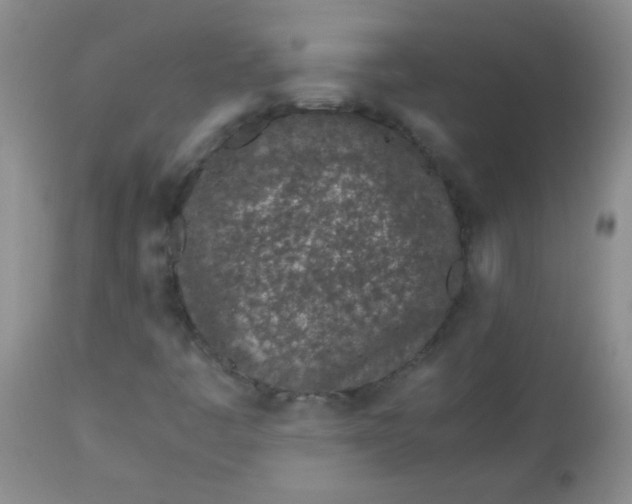 X0000113561445200910091403