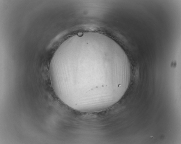 X0000113561446200910091403
