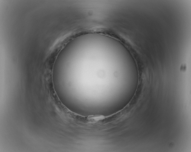 X0000113561447200910091403