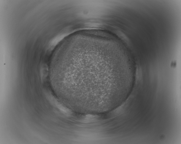 X0000113561449200910091403