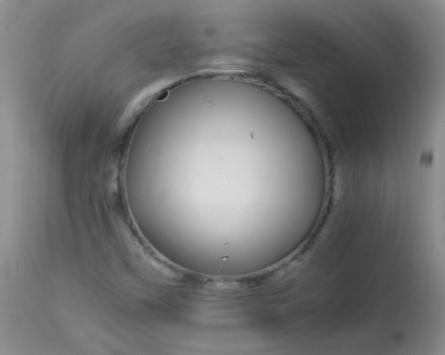 X0000113561451200910091403