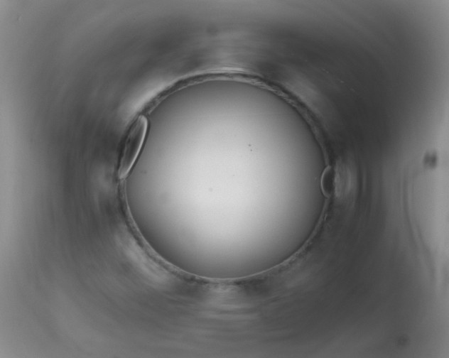 X0000113561452200910091403
