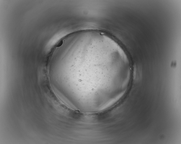 X0000113561453200910091403