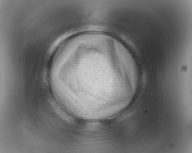 X0000113561454200910091403