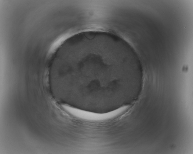 X0000113561455200910091403