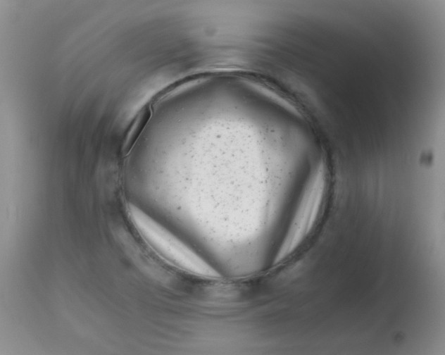 X0000113561457200910091403