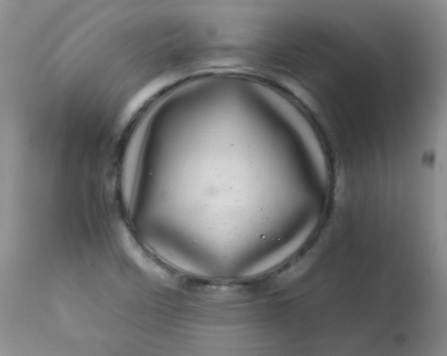 X0000113561458200910091403