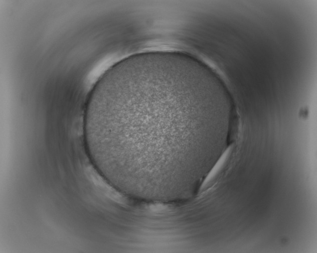 X0000113561459200910091403