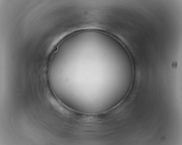 X0000113561460200910091403