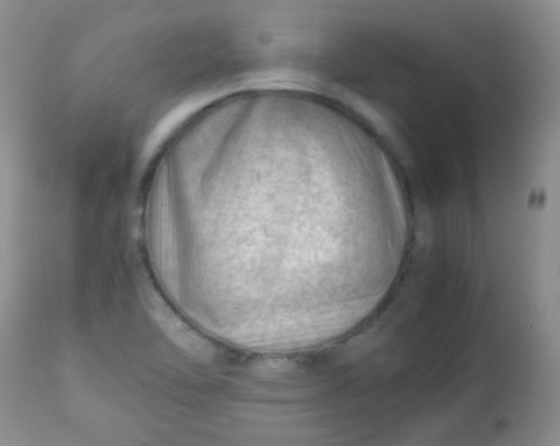 X0000113561462200910091403