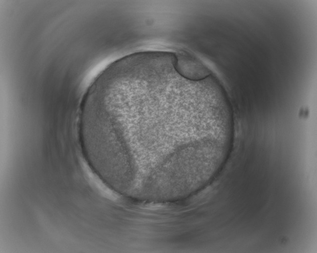 X0000113561463200910091403