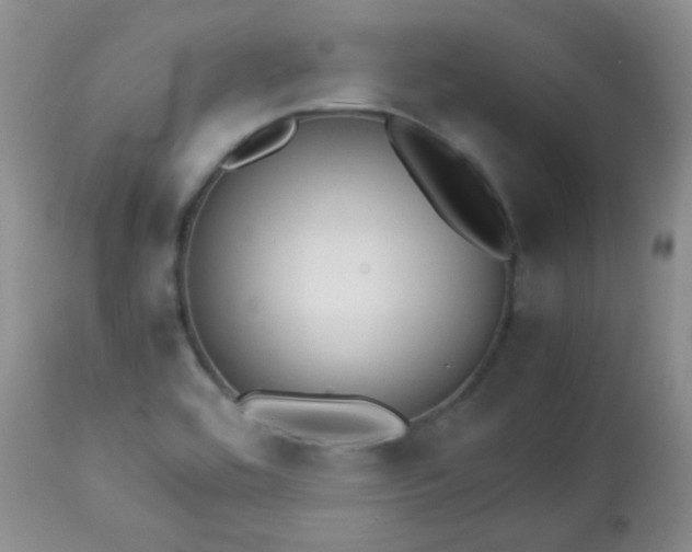 X0000113561464200910091403
