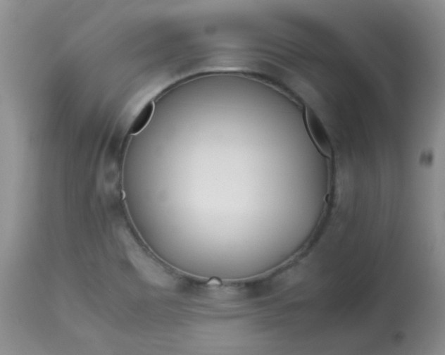 X0000113561465200910091403
