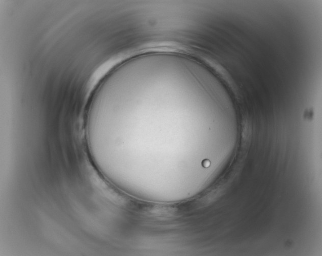 X0000113561466200910091403