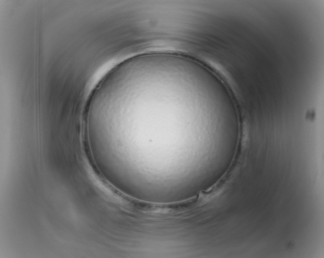 X0000113561467200910091403