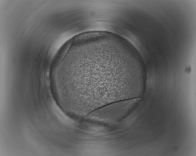 X0000113561468200910091403