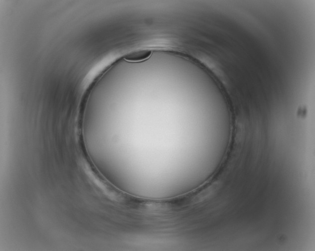 X0000113561469200910091403