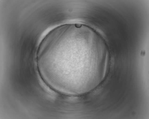X0000113561470200910091403