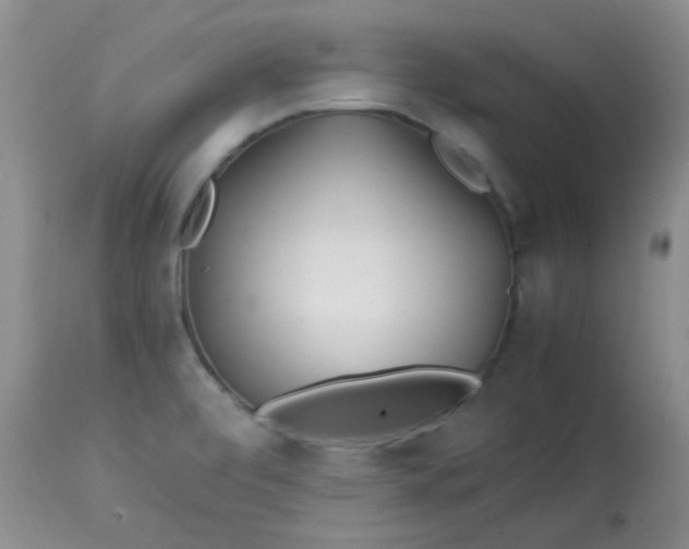 X0000113561472200910091403