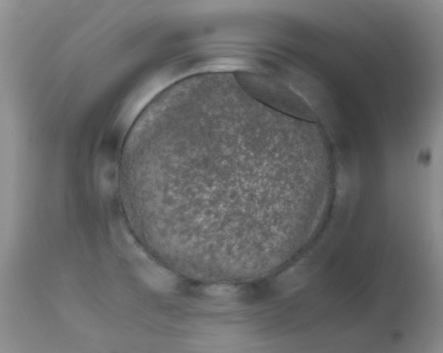 X0000113561473200910091403