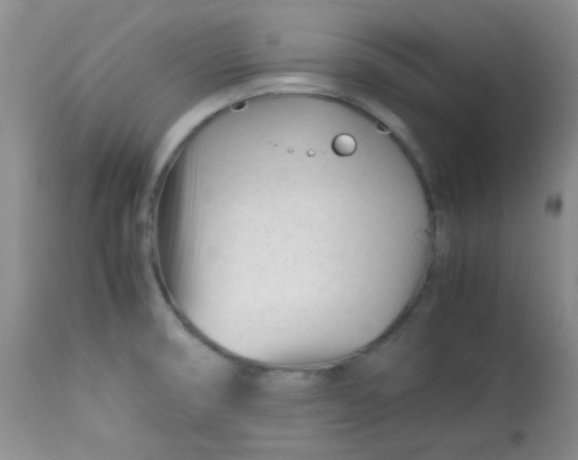 X0000113561474200910091403