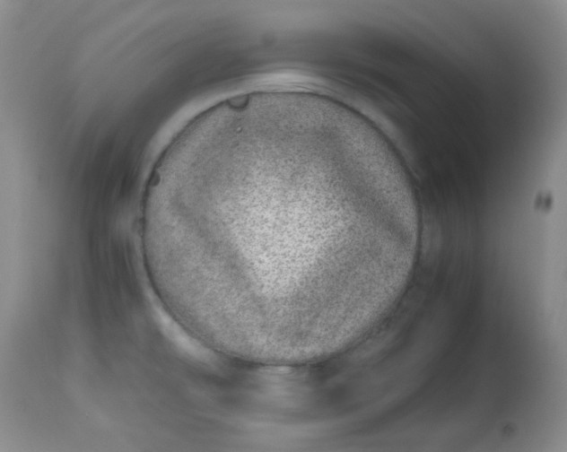 X0000113561478200910091403
