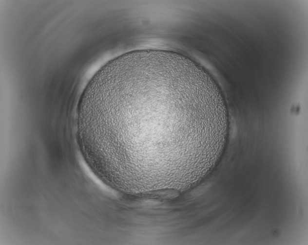 X0000113561479200910091403